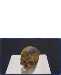 Crâne 5, Dominique Renson